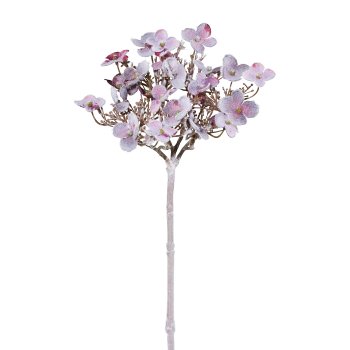 Hydrangea Branch With Snow, 72