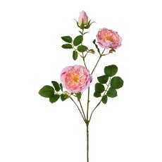 Rosenzweig, 73 cm, rosa
