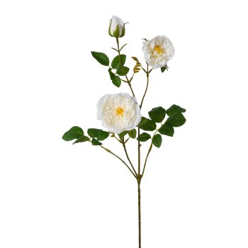 Rose branch, 73cm, cream