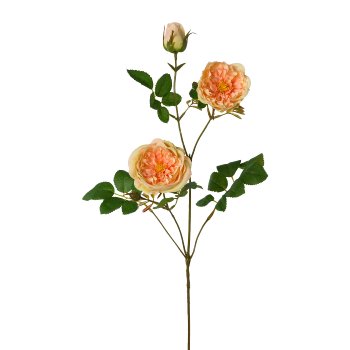 Rose branch, 73cm, apricot