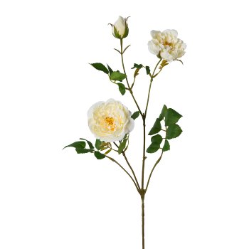 Rose branch, 73cm, champagne