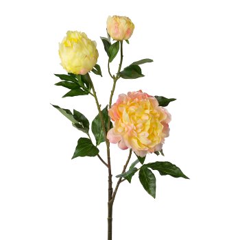 Peony x 3, 83cm, Yellow-Pink