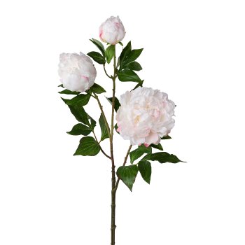 Peony x 3, 83cm, White