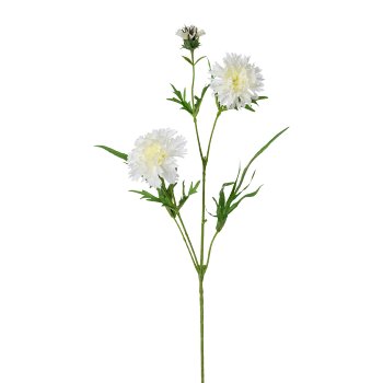 Cornflower Branch, 71cm, White