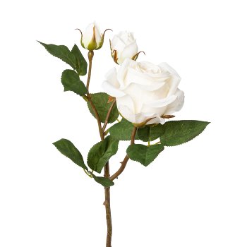 Rose x 3, 48cm, Cream Rose x 3, 48cm, cream