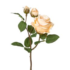 Rose x 3, 48 cm, lachs