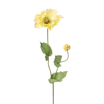 Poppy with Bud, 73cm, Yellow-Pink