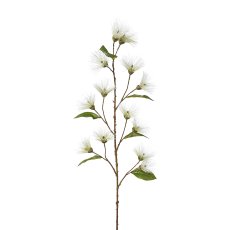 Calistemon Twig, 144 cm, White