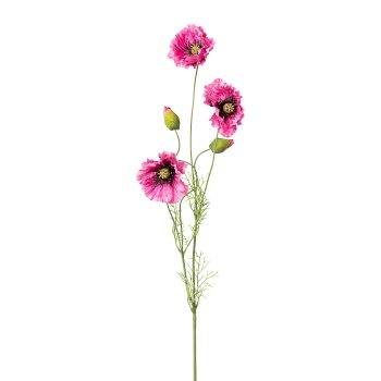 Mohn, 90cm, pink mix