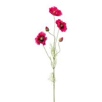 Poppy, 90cm, pink mix