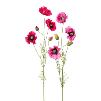 Mohn, 90cm, pink mix