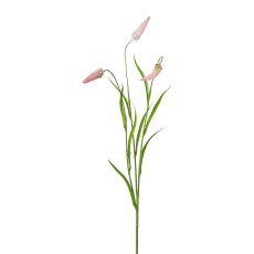 Meadow Grass, 71 cm, Pink
