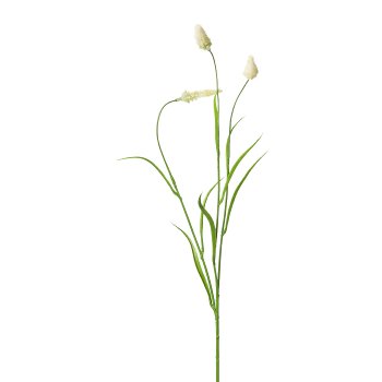 Meadow grass, 71cm, cream