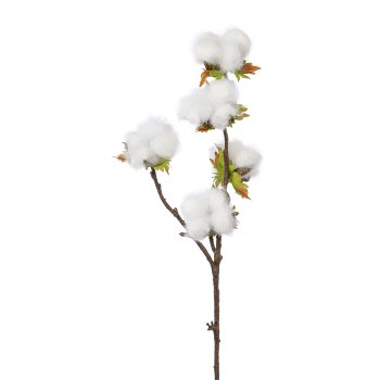 cotton twig, 45cm, natural