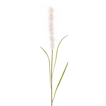 Pampas grass, 102cm, white