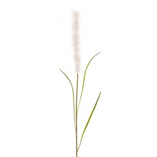 Pampas grass, 102 cm, white