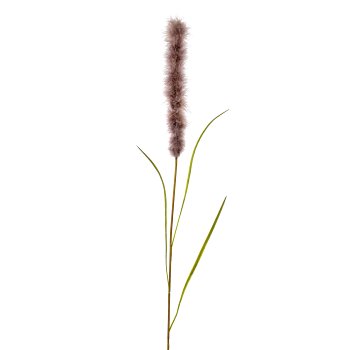 Pampas grass, 102cm, mauve