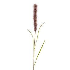 Pampas grass, 102 cm, mauve