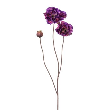 Mohn x 3, 65cm, lila
