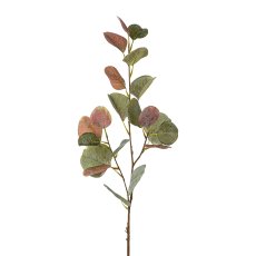 Eukalyptus, 75 cm, grün-lila