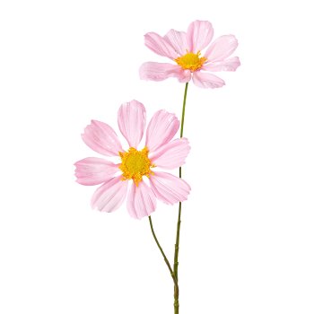 Rudbeckia, metallic, 55cm, pink