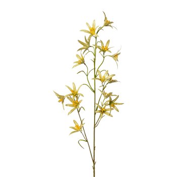 Eucomis, metallic, 76cm, green