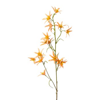 Eucomis, metallic, 76cm, orange