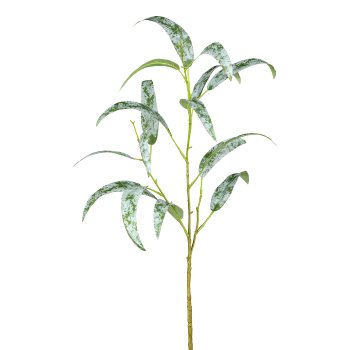 Eucalyptus, 59cm, gray-green