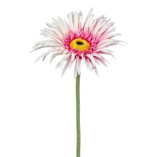 Gerbera, 66cm, rosa