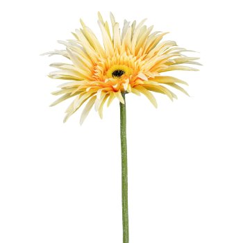 Gerbera, 66cm, gelb