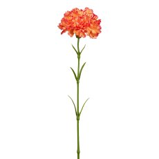 Carnation, 43cm, orange