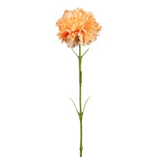 Carnation, 43cm, apricot