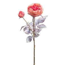 Rose, 64 cm, pink