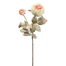 Rose, 64 cm, altrosa-grün