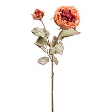 Rose, 64 cm, orange