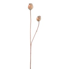 Poppy pod, 64 cm, natural