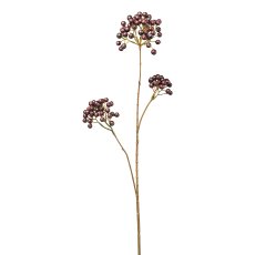 Eberesche, 67 cm, aubergine