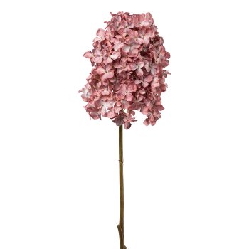 Hydrangea, 83cm, old pink