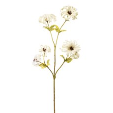 Wild clematis, 64 cm, green