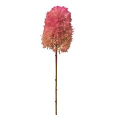 Cotinus, 93 cm, dark pink