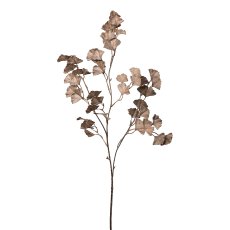 Ginkgo leaf, 89cm, brown