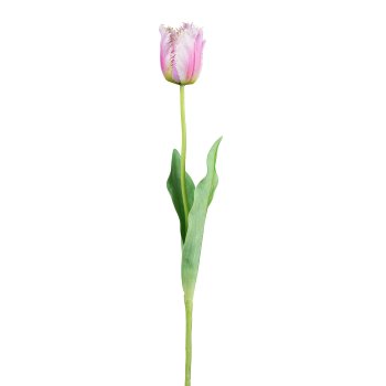 Tulip, 67cm, pale pink