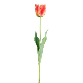 Tulip, 67cm, orange