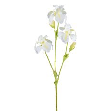 Iris, 82cm, white