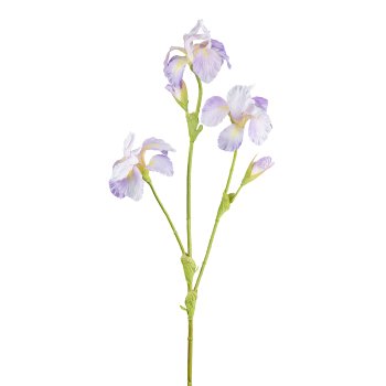 Iris, 82cm, lilac