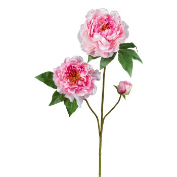 Peony, 80cm, pale pink