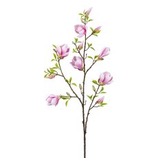 Magnolie, 110 cm, rosa