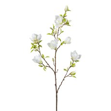 Magnolia, 110 cm, white