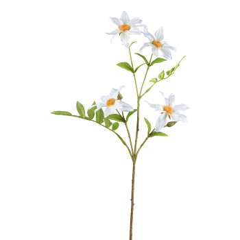 Dahlie, 65cm, weiß