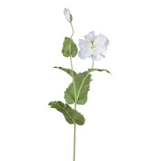 Poppy, 110cm, white